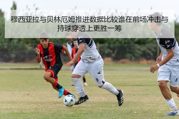 img_1783267824677_1200_1_762.jpg